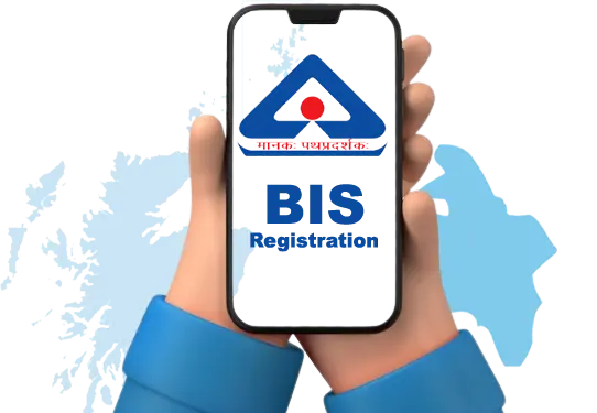 BIS Consultant